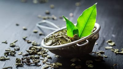 Original Organic Sylhet's Green Tea - Export Quality 250 GM - Image 4