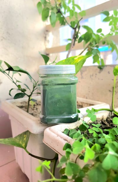 Spirulina Powder