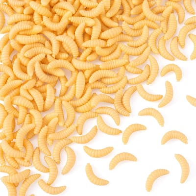 Grape Bug Maggot Worm Native 50pcs Set Creamy Color Glow in the Dark Clear Black Bass Trout Chin Yamame Area Management Fishing Rivers Stream Black Bass Fishing Bass Fishing Lake Dam Bluegill Carp