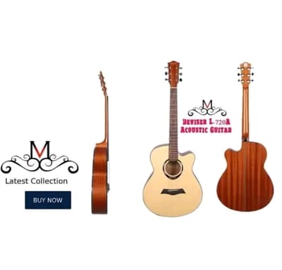 🔥Deviser L-720A Acoustic Guitar