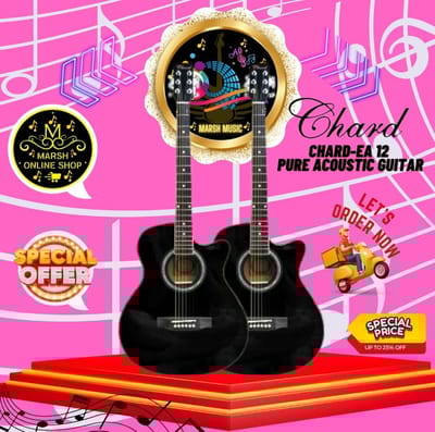 🔰👉𝗖𝗵𝗮𝗿𝗱-𝗘𝗔 𝟭𝟮 𝗣𝘂𝗿𝗲 𝗔𝗰𝗼𝘂𝘀𝘁𝗶𝗰 𝗚𝘂𝗶𝘁𝗮𝗿