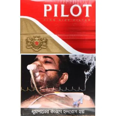 PiLot