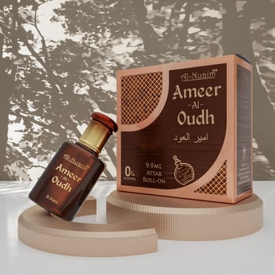 Ameer Al Oudh