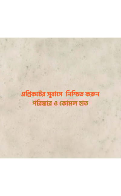 Earth Beauty & You Hand Wash Purifying Apricot Hand Wash -370ml - Image 4