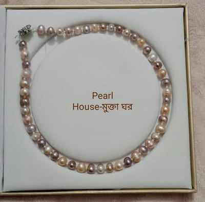 Exclusive Pearl Multicolor Necklace