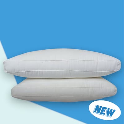 অরিজিনাল বিচি মুক্ত শিমুল তুলার বালিশ (২ পিস)