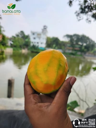 গোবিন্দভোগ আম ১২ কেজি হোম ডেলিভারি - Image 1