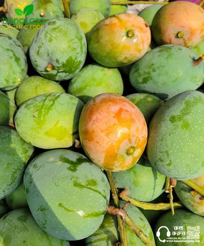 গোবিন্দভোগ আম ১২ কেজি হোম ডেলিভারি - Image 2