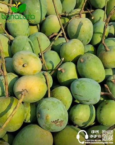 গোপালভোগ আম ১২ কেজি হোম ডেলিভারি - Image 2