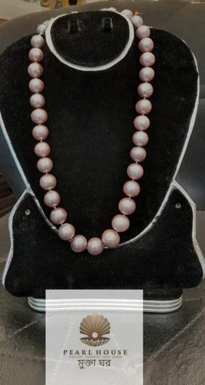 South asian Sea Pearl