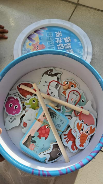 Fishing Magnetic intelligence toy