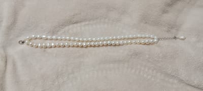 Exclusive 2 layer Payel