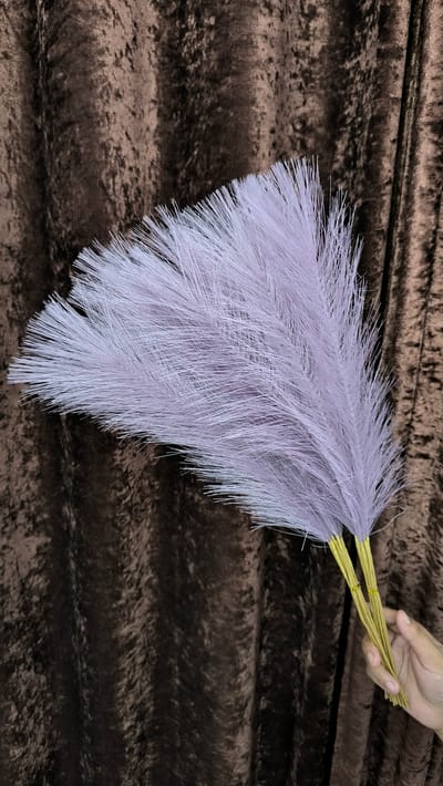 pampars grass - Image 1