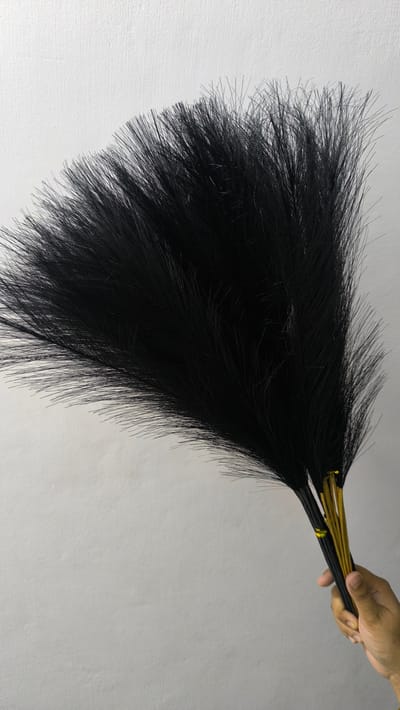 pampars grass - Image 2