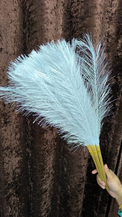 pampars grass - Image 6