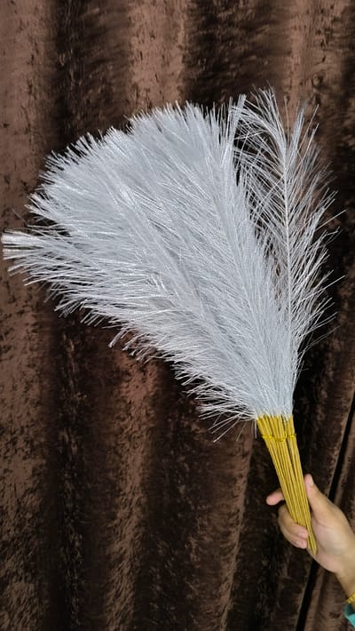 pampars grass - Image 7