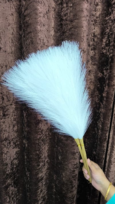 pampars grass - Image 8