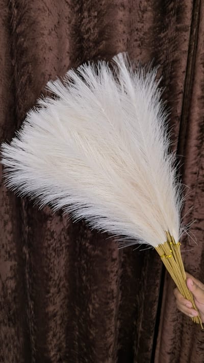 pampars grass - Image 9