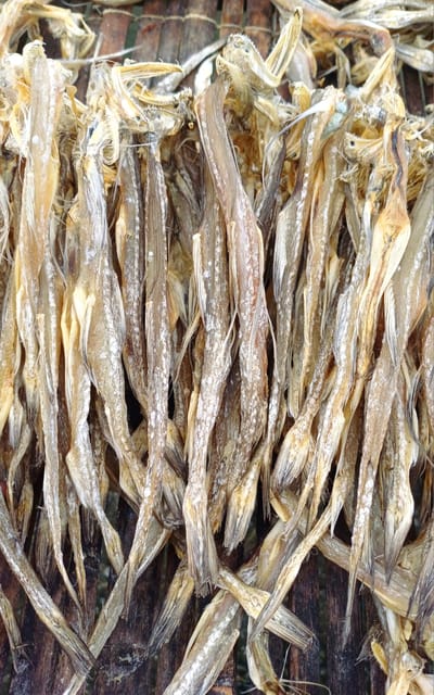 লইট্টা শুঁটকি – পেটকাটা মাঝারি সাইজ