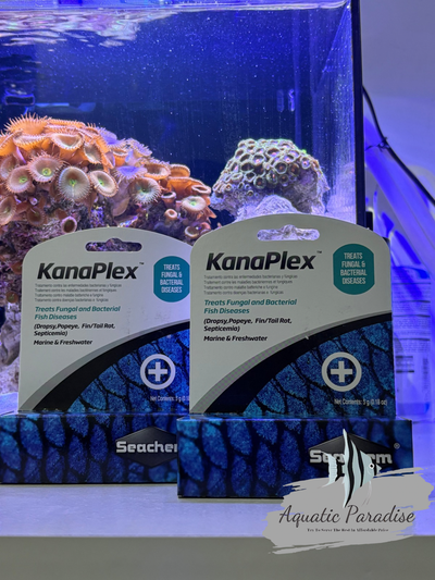 Seachem Kanaplex