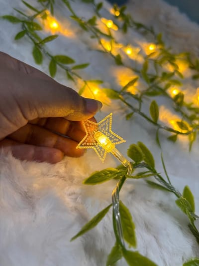 ✨ 𝐒𝐭𝐚𝐫 𝐅𝐚𝐢𝐫𝐲 𝗟𝗲𝗮𝗳 𝐋𝐢𝐠𝐡𝐭 🍃