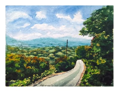 Winding Road to Serenity