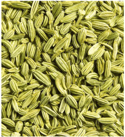 গুয়ামুরি (Guamuri) বা মৌরি (Fennel) - Image 2