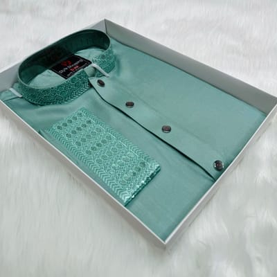 Stylish Sequence Panjabi - Image 1