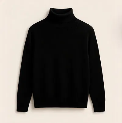 Premium Ribbed Turtleneck Sweater