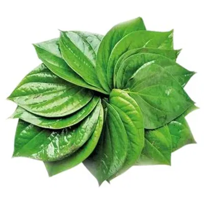Paan - Betel Leaf 20 pc
