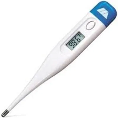 Thermometer Digital