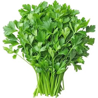 Coriander Leaves (Dhonia Pata) - 100 gm