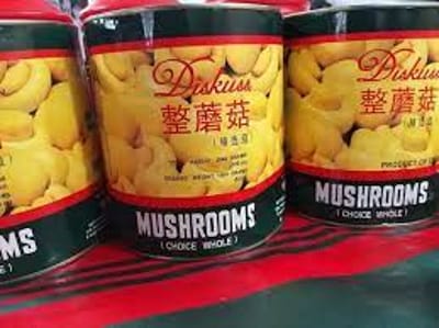 Discus Mushrooms Big 2840 gm