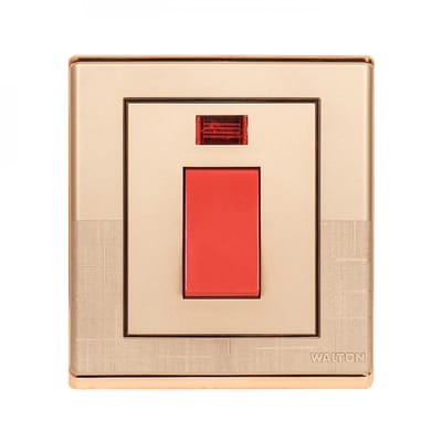 WFDPS20 20A DP Switch