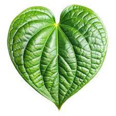 মিষ্টি পান