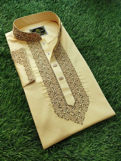 Embroidery Panjabi