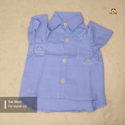 1.7 kg cat shirt