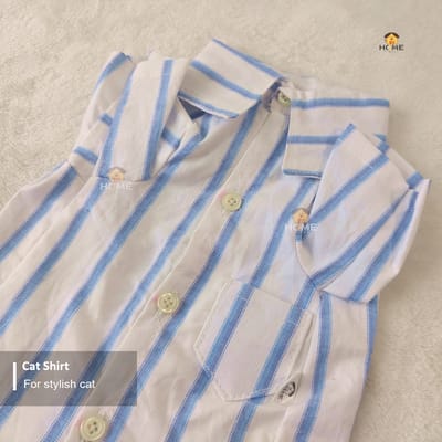 2 kg cat shirt