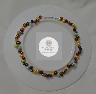 Multicolor Necklace