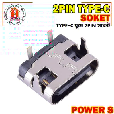 1PCS 2 Pin Micro Type C Connector Socket USB 3.1 Type-C Female Power Jack Dock Encounter