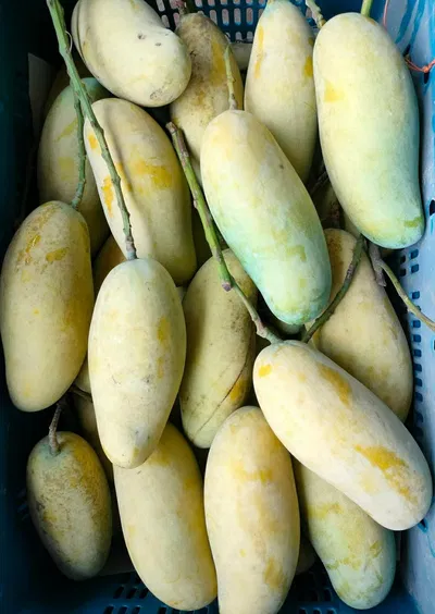ব্যানানা ম্যাঙ্গো🥭 কেমিক্যাল/কার্বাইড মুক্ত