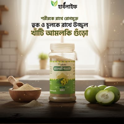 আমলকি পাউডার / Amalaki powder (১০০ গ্রাম )