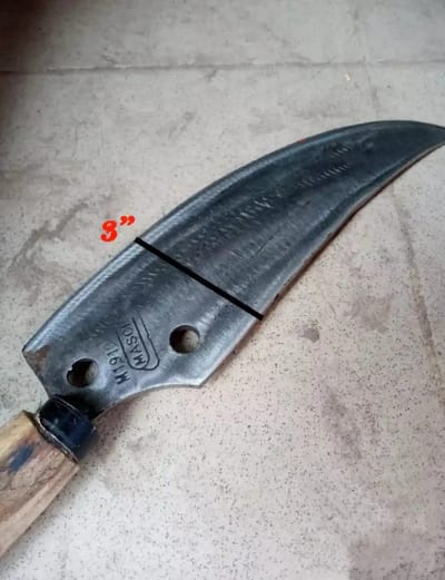 Bangla Chapati -Paglu - Image 1