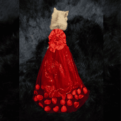 Flower gown (custome)