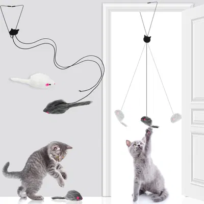 PET