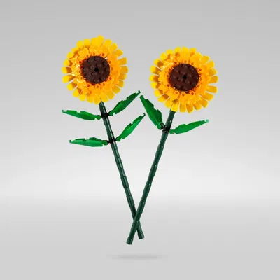 Flower Stick