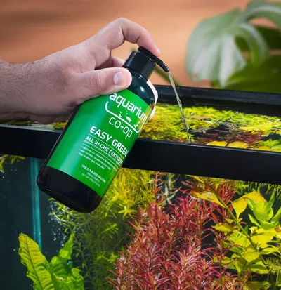 substrate and fertiliser