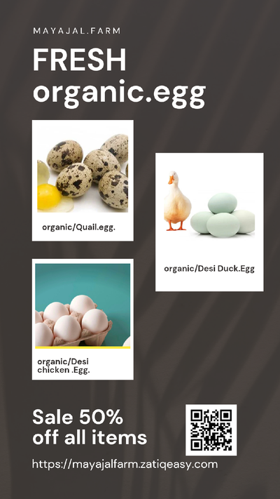 Eggs & Protein