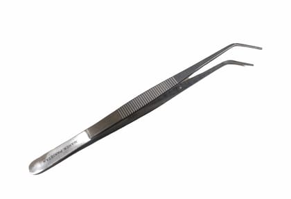 SS Dental Tweezer