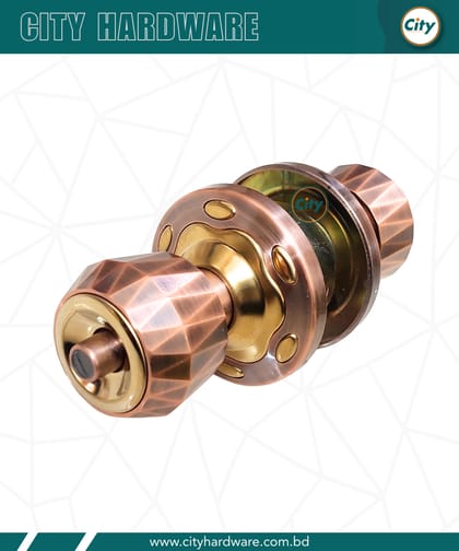 প্রিমিয়াম মানের রাউন্ড লক নতুন মডেলের ডোর লক অ্যান্টিক